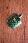Malachite Turtle