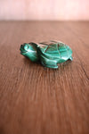 Malachite Turtle