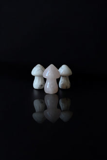  Mushroom Carving