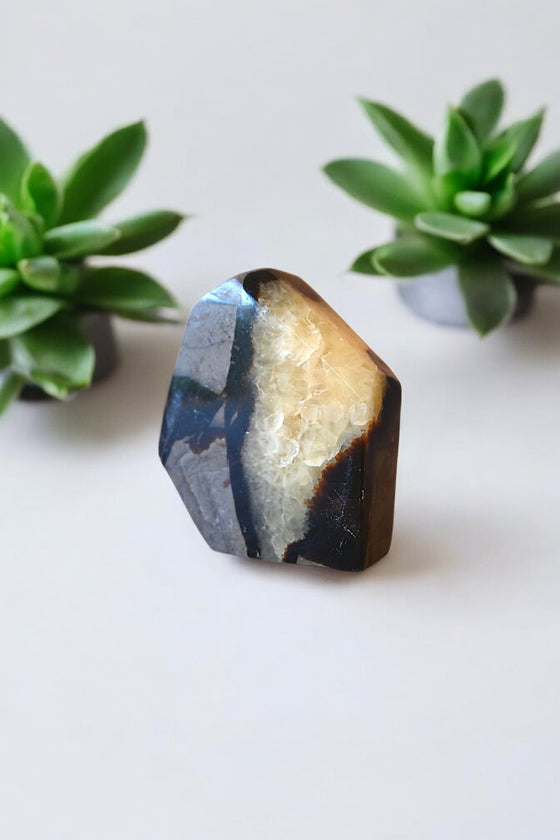 Septarian Polished Free Form