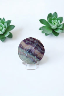  Fluorite Lilypad