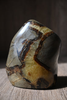  Septarian Free Form