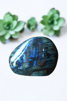  Labradorite Free Form | Electric Blue