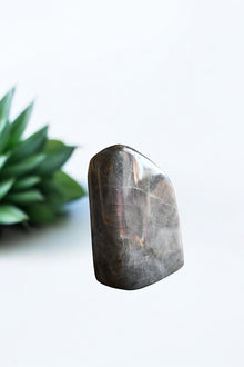  Labradorite Free Form | Purple Flash